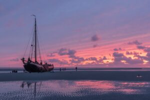 Bruinvisch bij zonsondergang