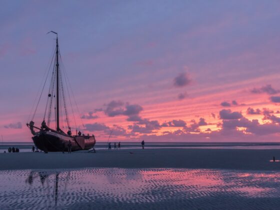 Bruinvisch bij zonsondergang