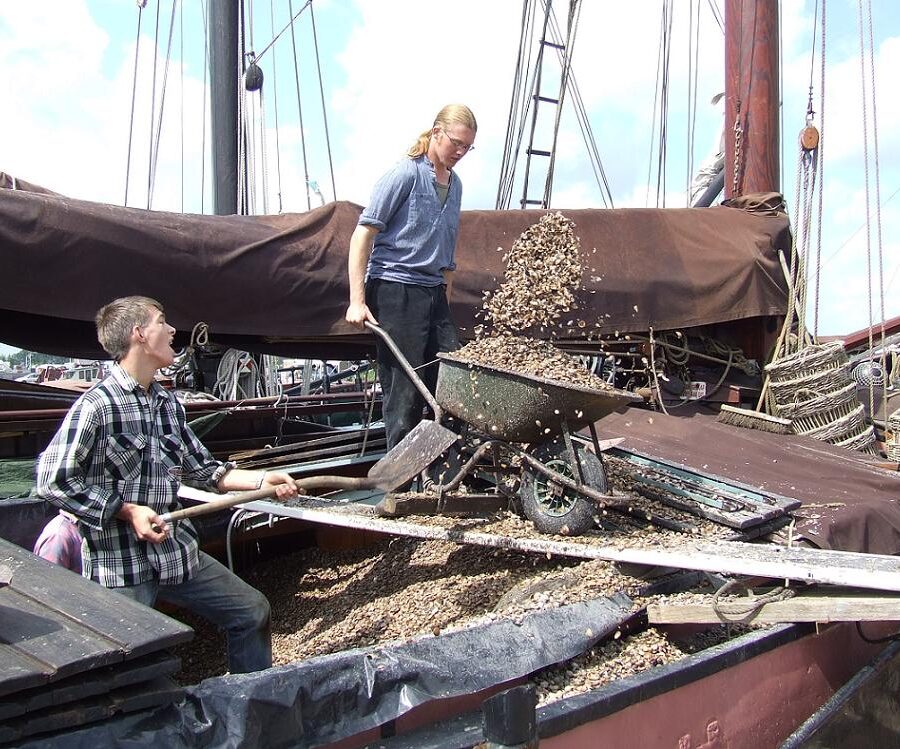 schelpen lossen